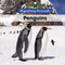Penguins - 9781502621085 by B. J. Best, 9781502621085