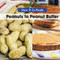 Peanuts to Peanut Butter - 9781502621368 by B. J. Best, 9781502621368