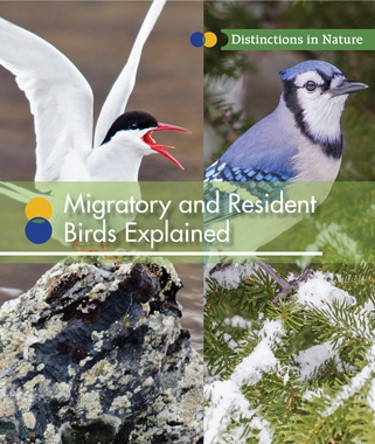 Migratory and Resident Birds Explained by Ruth Bjorklund, 9781502621696