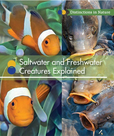 Saltwater and Freshwater Creatures Explained by Laura Sullivan, 9781502621856