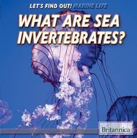 What Are Sea Invertebrates? - 9781508103899 by Julia J. Quinlan, 9781508103899