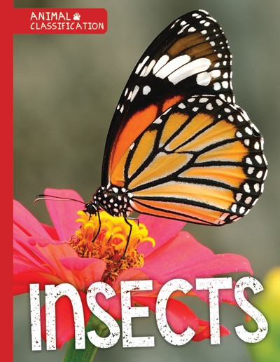 Insects - 9781534520134 by Charlie Ogden, 9781534520134