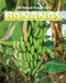 Bananas by Cecelia H. Brannon, 9780766085770