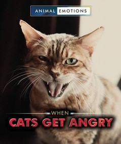 When Cats Get Angry by Heather Moore Niver, 9780766086111