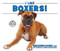 I Like Boxers! by Linda Bozzo, 9780766086388