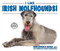 I Like Irish Wolfhounds! by Linda Bozzo, 9780766086425