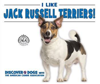 I Like Jack Russell Terriers! by Linda Bozzo, 9780766086449