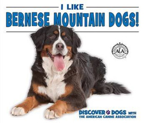 I Like Bernese Mountain Dogs! - 9780766088740 by Linda Bozzo, 9780766088740