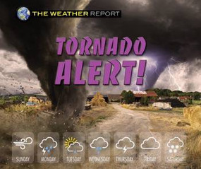 Tornado Alert! by Joanne Randolph, 9780766090255