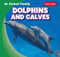 Dolphins and Calves by Mike Rodrigo-Gomez, 9781482463774