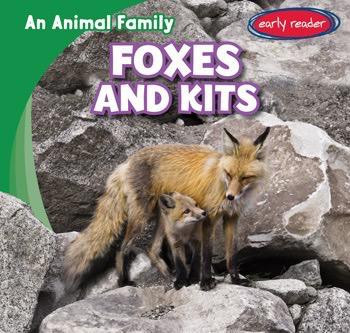 Foxes and Kits by Jose Ventana, 9781482463811