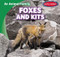 Foxes and Kits by Jose Ventana, 9781482463811