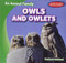Owls and Owlets by Gustavo Sandoval, 9781482463859