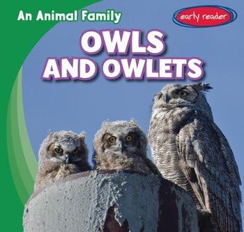 Owls and Owlets - 9781482463873 by Gustavo Sandoval, 9781482463873