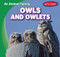 Owls and Owlets - 9781482463873 by Gustavo Sandoval, 9781482463873
