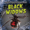 Black Widows - 9781482464955 by Jill Keppeler, 9781482464955