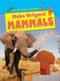 Make Origami Mammals - 9781499433494 by Ruth Owen, 9781499433494