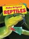 Make Origami Reptiles - 9781499433500 by Ruth Owen, 9781499433500