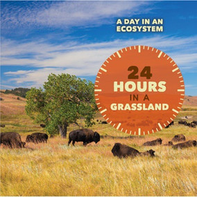 24 Hours in a Grassland by Ruth Bjorklund, 9781502624826