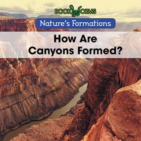 How Are Canyons Formed? by B. J. Best, 9781502628862
