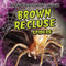Brown Recluse Spiders - 9781538202029 by Sarah Machajewski, 9781538202029