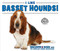 I Like Basset Hounds! by Linda Bozzo, 9780766091276
