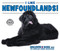 I Like Newfoundlands! by Linda Bozzo, 9780766091351
