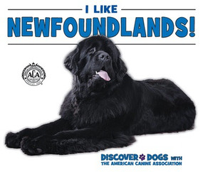 I Like Newfoundlands! - 9780766091375 by Linda Bozzo, 9780766091375