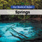 Springs by Arthur Best, 9781502631022
