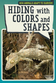 Hiding with Colors and Shapes - 9781508164333 by Melissa Raé Shofner, 9781508164333