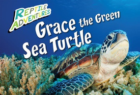 Grace the Green Sea Turtle - 9781508193586 by Rebecca Johnson, 9781508193586