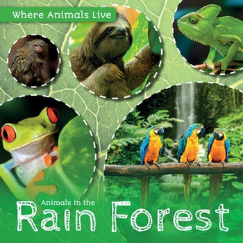 Animals in the Rain Forest - 9781534523777 by John Wood, 9781534523777