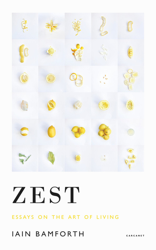 Zest (Essays on the Art of Living) by Iain Bamforth, 9781800172050