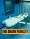 The Death Penalty (Just Punishment or Cruel Practice?) by Allison Krumsiek, 9781534562059