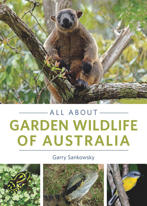 All About Garden Wildlife of Australia by Garry Sankowsky, 9781921517518