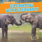 Estimating with Elephants by Rory McDonnell, 9781538208489