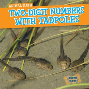 Two-Digit Numbers with Tadpoles by Mary Rose Osburn, 9781538208601
