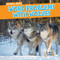 Word Problems with Wolves - 9781538208700 by Rory McDonnell, 9781538208700