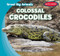 Colossal Crocodiles by Francis MacIntire, 9781538208953