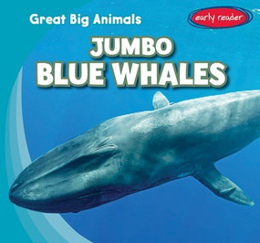 Jumbo Blue Whales by Francis MacIntire, 9781538209073