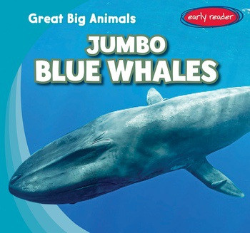 Jumbo Blue Whales by Francis MacIntire, 9781538209073