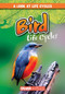 Bird Life Cycles by Bray Jacobson, 9781538210369