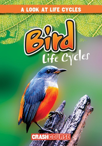 Bird Life Cycles - 9781538210383 by Bray Jacobson, 9781538210383