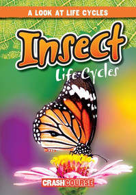 Insect Life Cycles by Bray Jacobson, 9781538210444