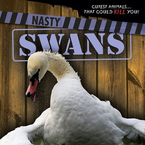 Nasty Swans by Rosie Banks, 9781538210895