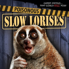Poisonous Slow Lorises by Mary Molly Shea, 9781538210956