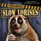 Poisonous Slow Lorises by Mary Molly Shea, 9781538210956