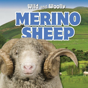 Merino Sheep - 9781538325339 by Rosaura Esquivel, 9781538325339