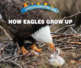 How Eagles Grow Up - 9780766096400 by Heather Moore Niver, 9780766096400