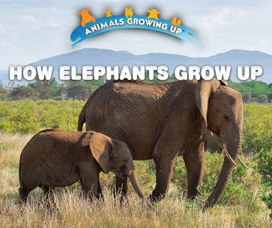 How Elephants Grow Up - 9780766096448 by Heather Moore Niver, 9780766096448